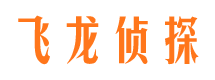 辰溪市调查公司